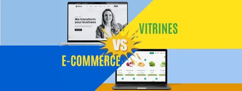 comparaison site vitrine vs site e-commerce